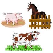 How Many Animals - Puzzles And Riddles How Many Animals - Puzzles And Riddles