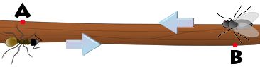Puzzle Image
