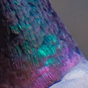 Puzzle Thumbnail