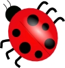 Puzzle Image